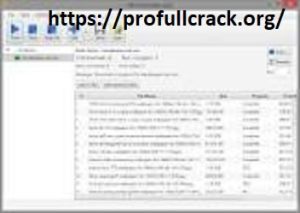 Bulk Image Downloader 6.35 Crack Full 
